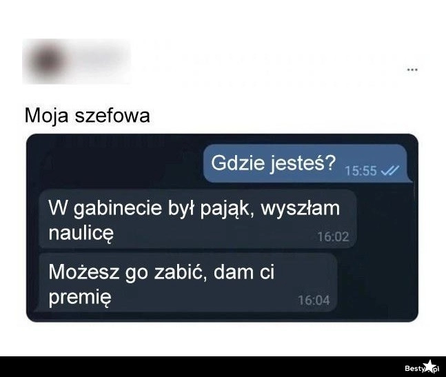 
    Szefowa vs. Pająk 