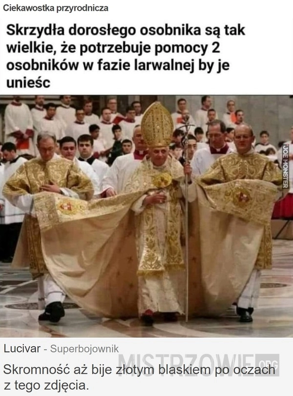 
    Ciekawostka przyrodnicza