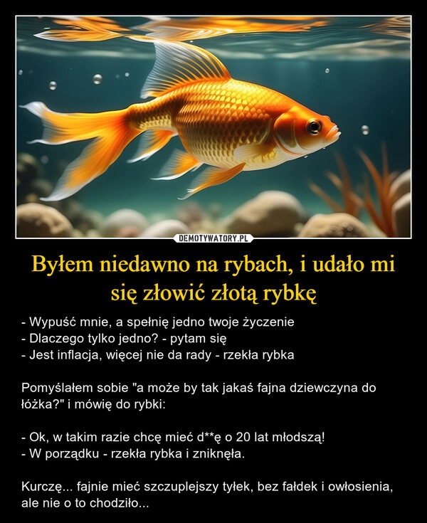 
    Byłem niedawno na rybach, i udało mi się złowić złotą rybkę