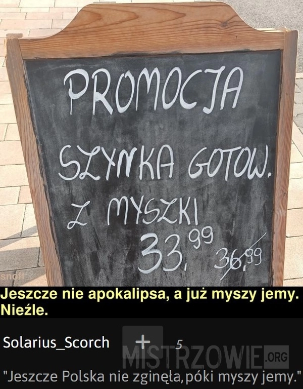 
    
			Promocja					