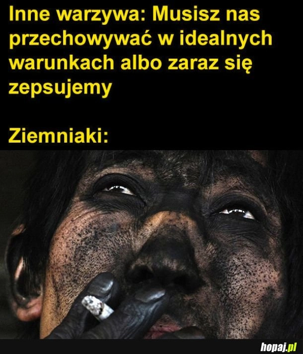 
    Ziemniaczki