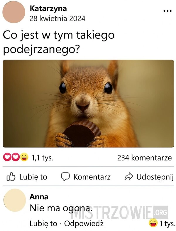 
    Wiewiórka