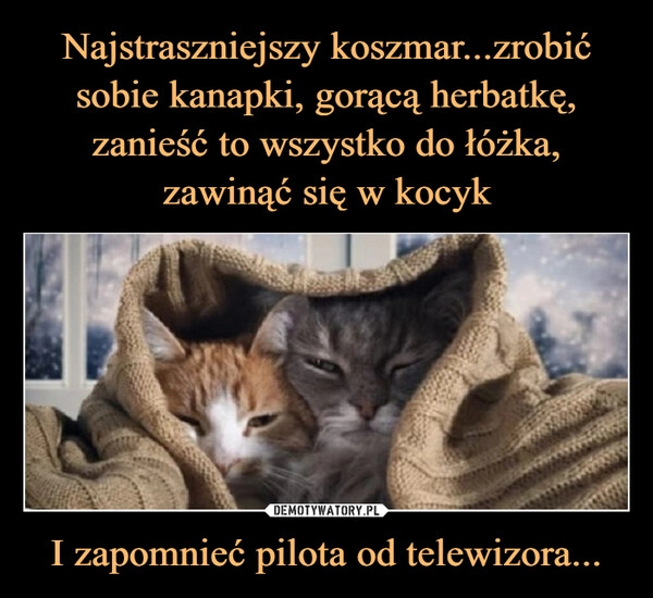 
    Najstraszniejszy koszmar...zrobić sobie kanapki, gorącą herbatkę, zanieść to wszystko do łóżka, zawinąć się w kocyk I zapomnieć pilota od telewizora...