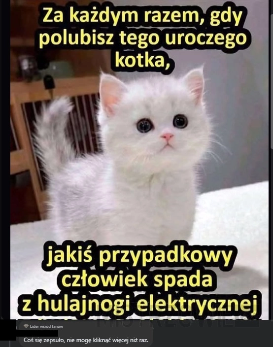 
    Niestety...
