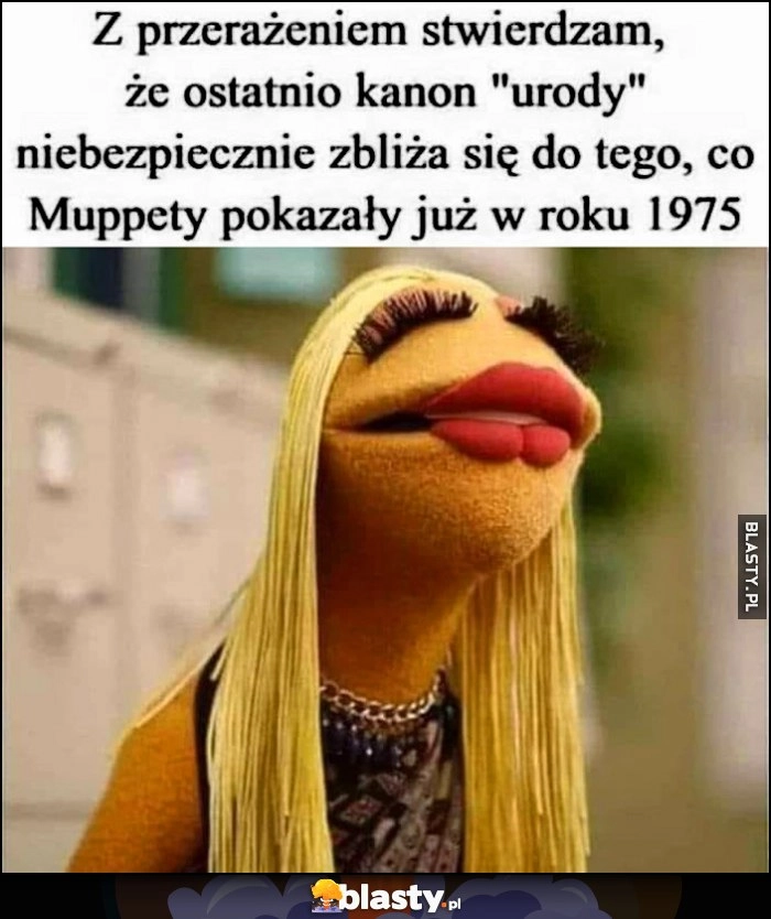 
    Z przerażeniem stwierdzam, że ostatnio kanon urody niebezpiecznie zbliża się do tego, co Muppety pokazały już w roku 1975