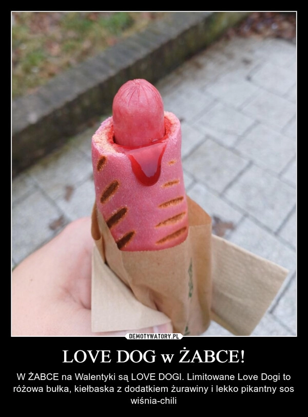 
    LOVE DOG w ŻABCE!