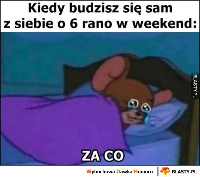 
    Kiedy budzisz się sam z siebie o 6 rano w weekend: za co?