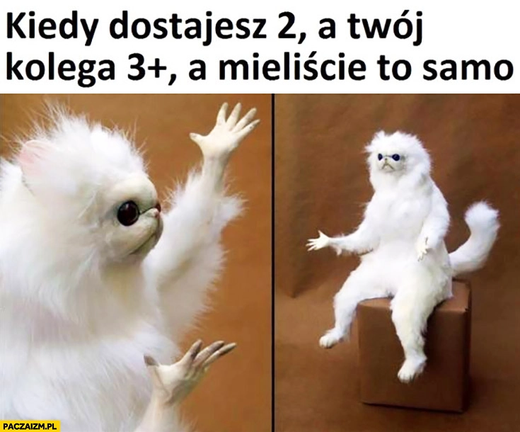 
    Kiedy dostajesz 2 a Twój kolega 3 plus a mieliście to samo
