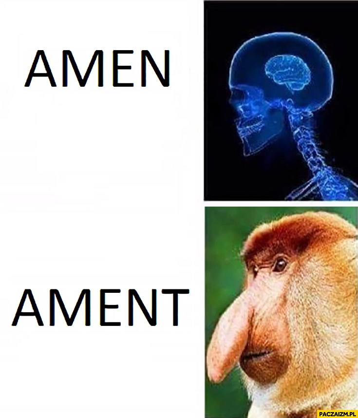 
    Amen ament typowy Polak nosacz mózg mem