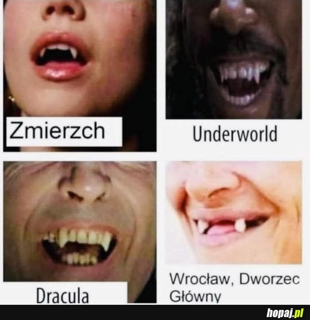 
    Rodzaj uzębienia