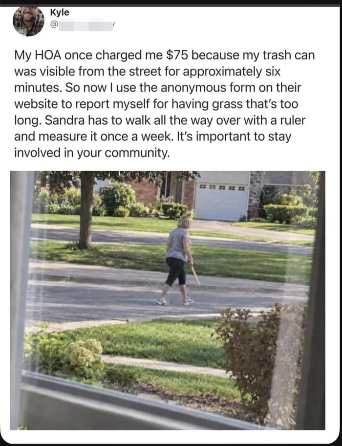 
    Masterclass in petty neighborhood warfare
