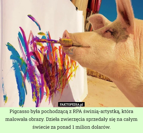 
    Pigcasso była pochodzącą z RPA świnią-artystką, która malowała obrazy. Dzieła