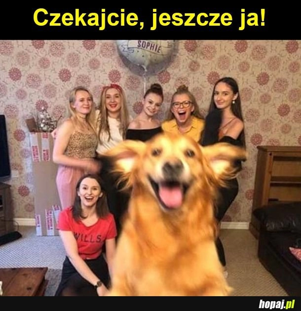 
    Czekajcie!