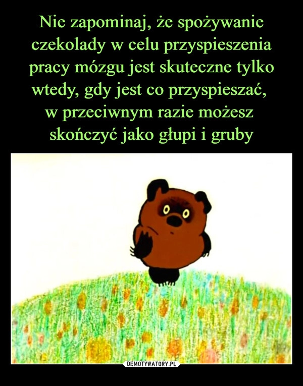 
    Nie zapominaj, że spożywanie czekolady w celu przyspieszenia pracy mózgu jest skuteczne tylko wtedy, gdy jest co przyspieszać,
w przeciwnym razie możesz
skończyć jako głupi i gruby 