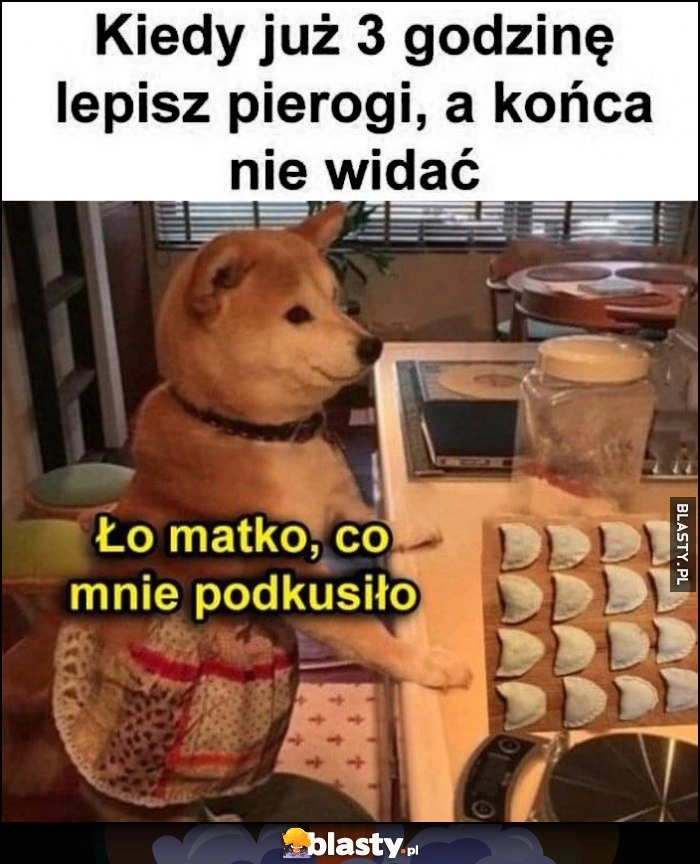 
    Kiedy już 3 godzinę lepisz pierogi, a końca nie widać, ło matko co mnie podkusiło pies pieseł doge