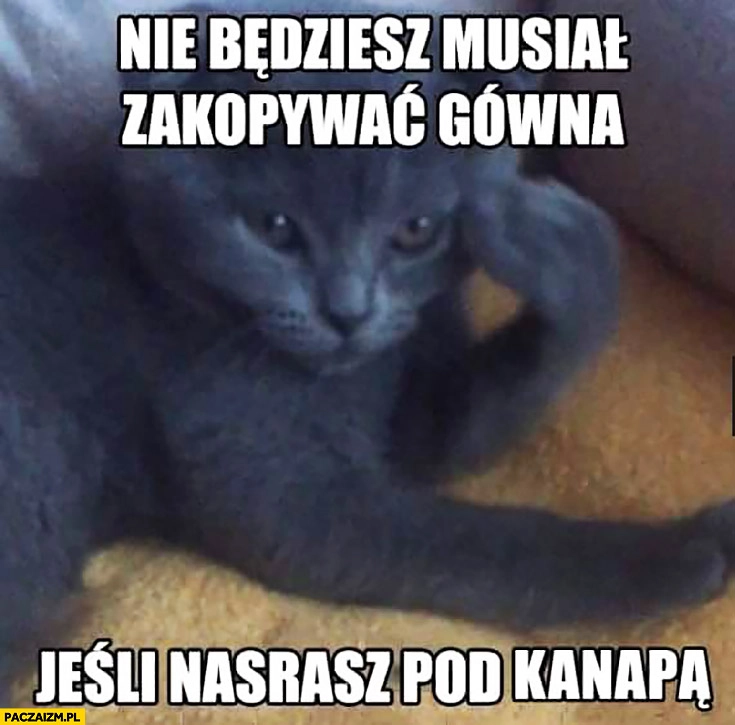 
    Nie będziesz musiał zakopywać gówna jeśli nasrasz pod kanapą kot