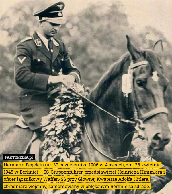 
    Hermann Fegelein (ur. 30 października 1906 w Ansbach, zm. 28 kwietnia 1945