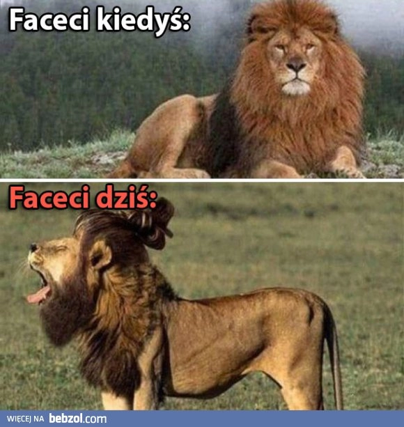 
    Coś poszło nie tak