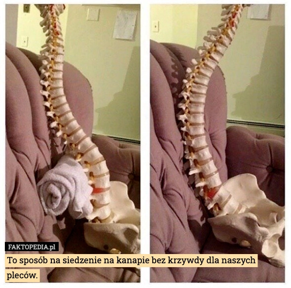
    To sposób na siedzenie na kanapie bez krzywdy dla naszych pleców.