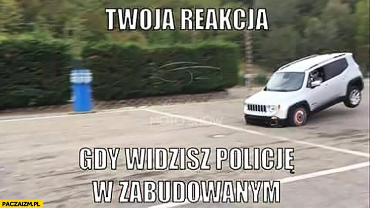 
    Twoja reakcja gdy widzisz policję w obszarze zabudowanym ostro hamuje