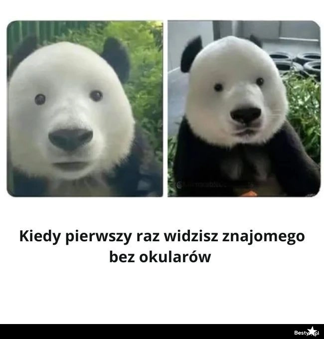 
    Zanjomy bez okularów