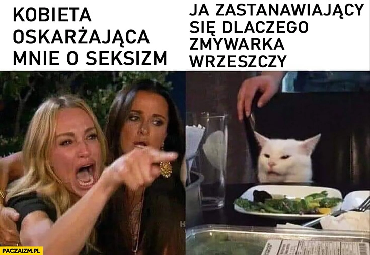 Kobieta oskarżająca mnie o seksizm, ja zastanawiający się dlaczego zmywarka wrzeszczy