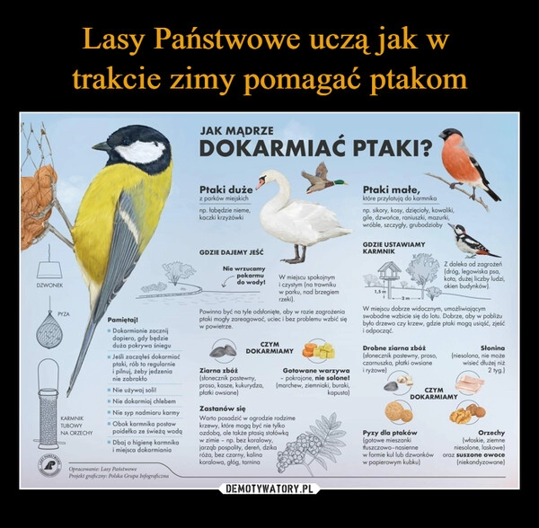 
    Lasy Państwowe uczą jak w 
trakcie zimy pomagać ptakom