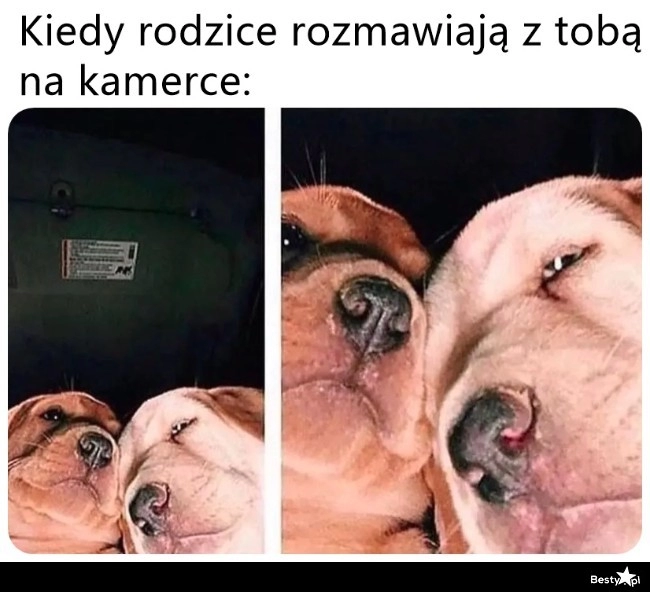 
    Rodzice na kamerce 