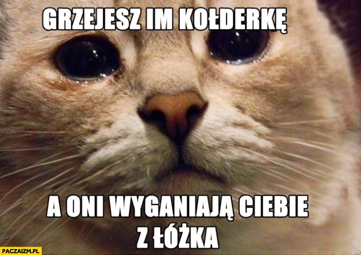 
    Grzejesz im kołderkę a oni wyganiają Cię z łóżka kot płacze