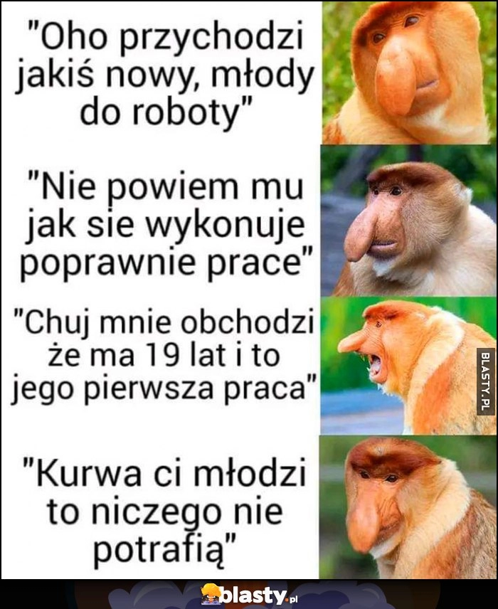 
    Małpa nosacz: oho nowy przychodzi do roboty, nie powiem mu jak sie poprawnie wykonuje prace, co z tego że to jego pierwsza praca, ci młodzi to niczego nie potrafią