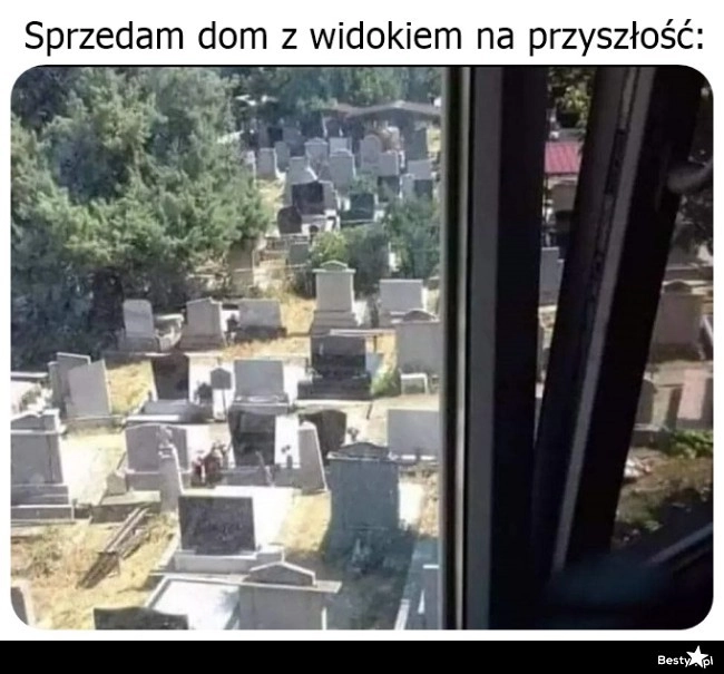 
    Dom z widokiem na przyszłość 