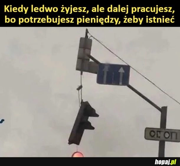 
    Takie to życie