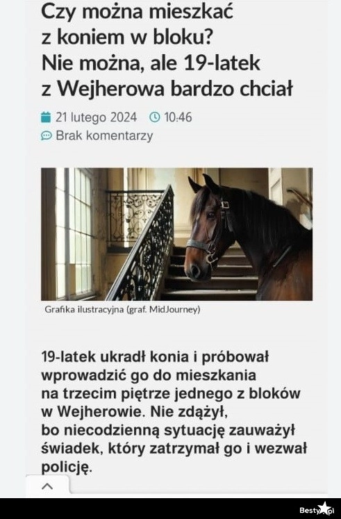 
    Koń w bloku 