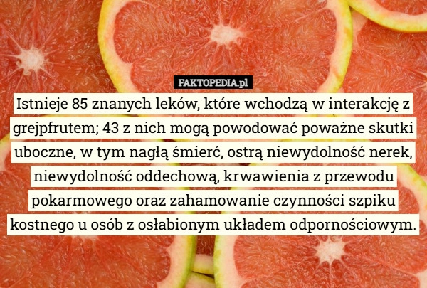 
    Istnieje 85 znanych leków, które wchodzą w interakcję z grejpfrutem; 43...