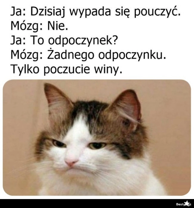 
    Typowa niedziela 