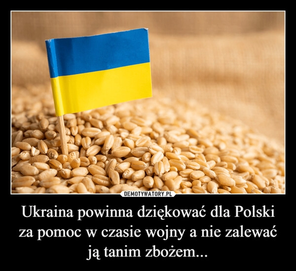 
    Ukraina powinna dziękować dla Polski za pomoc w czasie wojny a nie zalewać ją tanim zbożem...