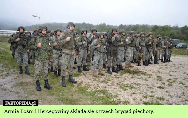 Armia Bośni i Hercegowiny składa się z trzech brygad piechoty.