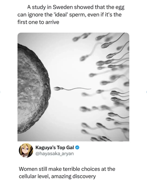And so it begins