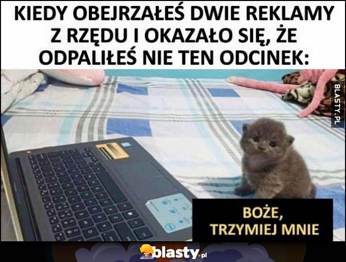 
    Kiedy obejrzałeś dwie reklamy z rzędu i okazało się, że odpaliłeś nie ten odcinek. Kot kotek: Boże, trzymiej mnie