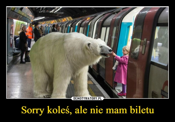 
    Sorry koleś, ale nie mam biletu