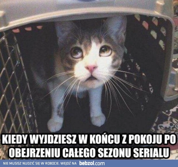 
    Powrót do rzeczywistości