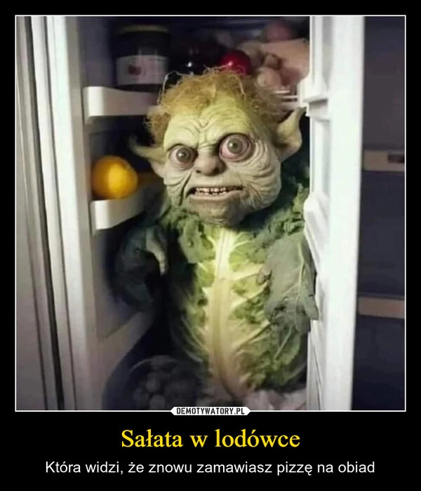 
    Sałata w lodówce