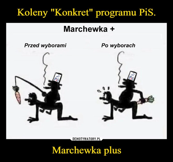 
    Koleny "Konkret" programu PiS. Marchewka plus