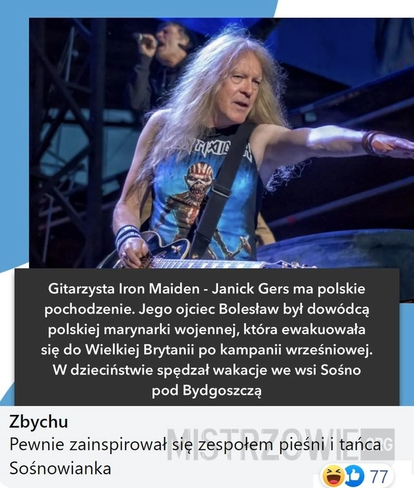 
    Gitarzysta