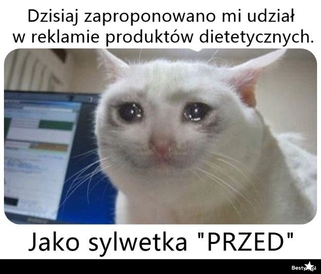 
    Udział w reklamie 