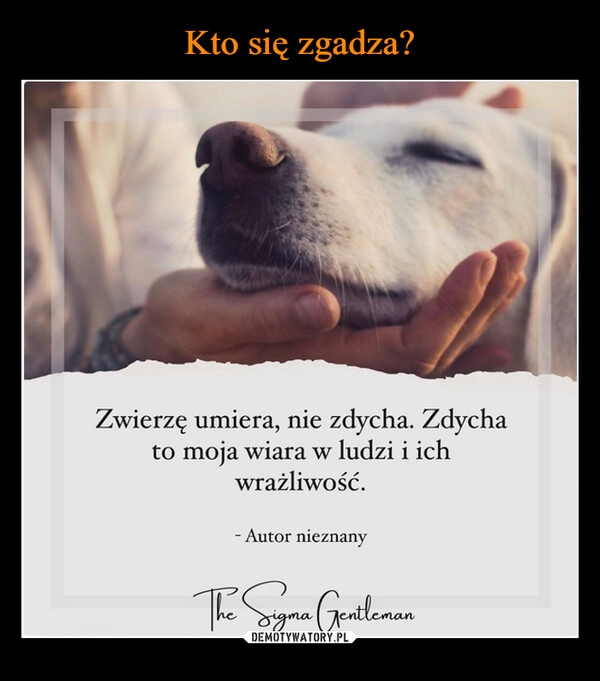 
    Kto się zgadza?