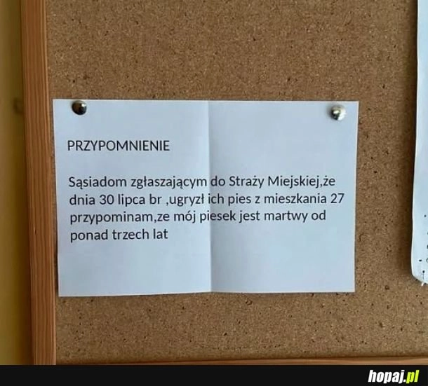 
    Zmartwychwstał