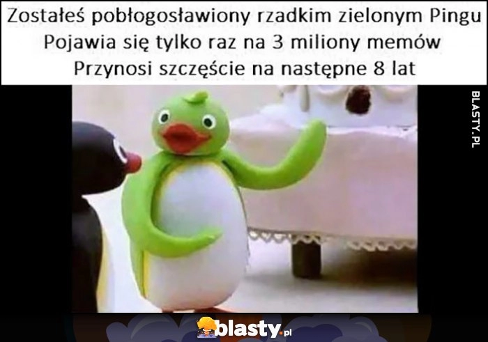 
    Zostałeś pobłogosławiony rzadkim zielonym Pingu, pojawia się tylko raz na 3 miliony memów, przynosi szczęście na następne 8 lat