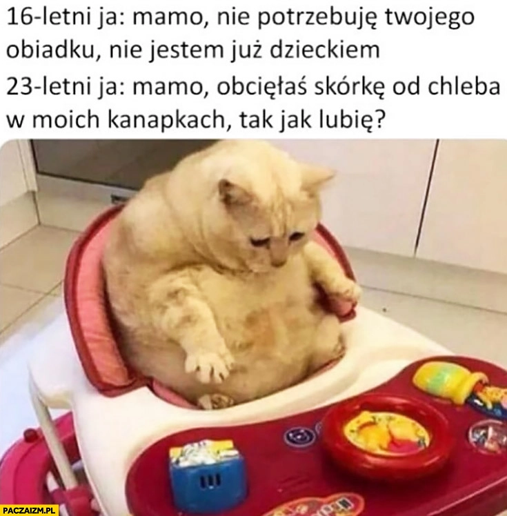 
    16 letni ja: mamo nie potrzebuję Twojego obiadu, nie jestem już dzieckiem, 23 letni ja: mamo obcięłaś skórkę od chleba tak jak lubię? kot