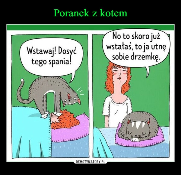 
    
Poranek z kotem 